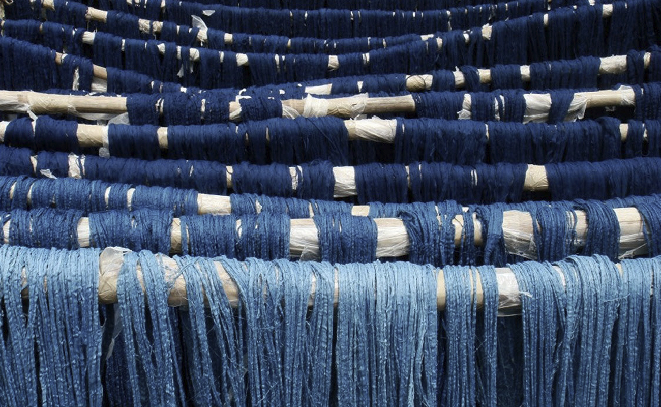 De onde vem o índigo que garante o azul do nosso jeans? – Eze